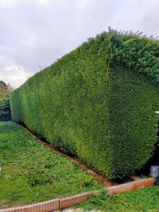 Photo de galerie - Travail réalisé avec soin