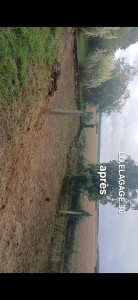 Photo de galerie - Tonte de pelouse - Débroussaillage