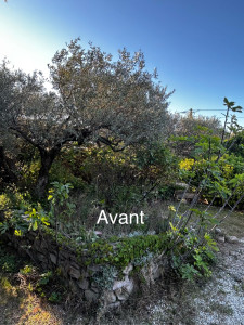 Photo de galerie - Remise en état complet de ce jardin ?