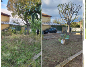 Photo de galerie - Avant et après la tonte de pelouse 