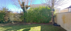 Photo de galerie - Petite haies terminé 