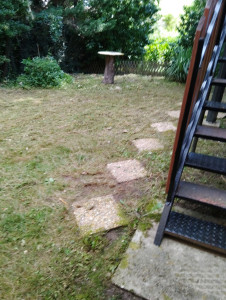 Photo de galerie - Débroussaillage 