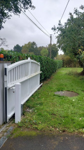 Photo de galerie - Taille de haies et d'arbustes