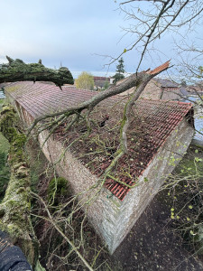 Photo de galerie - Urgence 