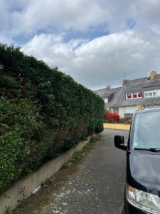 Photo de galerie - Taille de haies