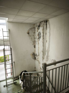 Photo de galerie - Peinture - Tapisserie