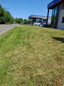 Photo de galerie - Une fois fini 