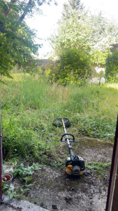 Photo de galerie - Débroussaillage et tonte de pelouse avant 