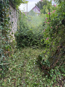 Photo de galerie - Tonte de pelouse - Débroussaillage