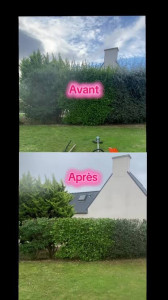 Photo de galerie - Étêtage de haie 