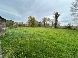 Photo de galerie - Terrain de 5000m2 avant débroussaillage et tonte
