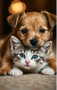 Photo de galerie - Garde d’animaux à votre domicile 