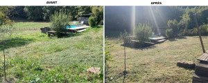 Photo de galerie - Entretien des espaces vert.