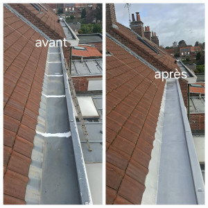 Photo de galerie - Rénovation d'un chéneaux complet 