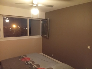 Photo de galerie - Déposer du papier peint réalisation d'un André général application de trois couches de peinture finition 