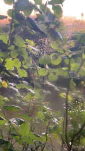 Photo de galerie - Avant baie vitrée