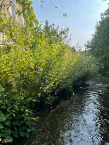 Photo de galerie - Avant