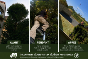 Photo de galerie - ?taille et élagage d’un arbre réalisé avec soins. chantier propre du début à la fin. avec évacuation de tous les déchets verts. en déchetterie professionnelle. merci à nos clients pour sa confiance! n’hésitez pas à nous contacter ?