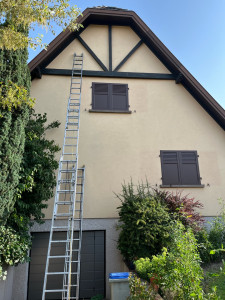 Photo de galerie - Peinture - Tapisserie