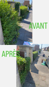 Photo de galerie - Taillage d’une haie de troène 