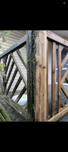 Photo de galerie - Nettoyage et entretien d'une terrasse bois