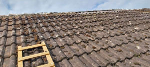 Photo de galerie - Couverture - Toiture