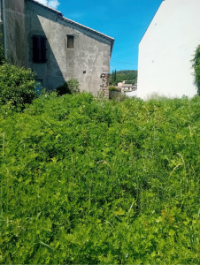Photo de galerie - (avant )