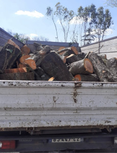 Photo de galerie - Tonte de pelouse - Débroussaillage