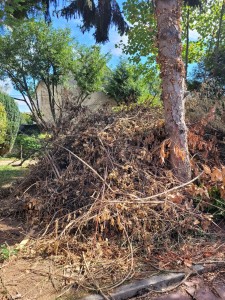 Photo de galerie - Évacuation déchets - Gravats