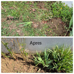 Photo de galerie - Client