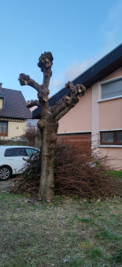 Photo de galerie - Paysagiste - Aménagement du jardin