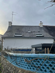 Photo de galerie - Nettoyage toiture avant 