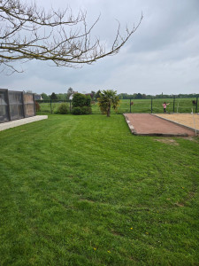 Photo de galerie - Tonte de pelouse - Débroussaillage