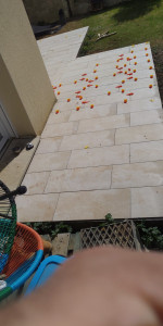 Photo de galerie - Général de bâtiment rénovation tout tip de carreaux 