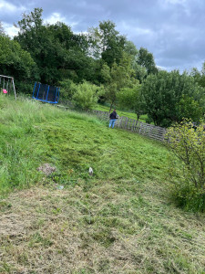 Photo de galerie - Tonte débroussaillage raille de haie aménagement cour 
