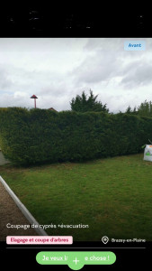 Photo de galerie - Elagage et coupe d'arbres