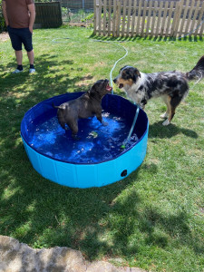 Photo de galerie - Mise en route de la piscine 