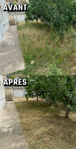 Photo de galerie - Tonte de pelouse - Débroussaillage