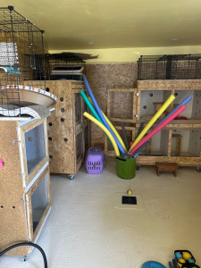 Photo de galerie - Dans une belle pièce aménagée j’ai mis des boxes pour que le chat choisisse son lieu de repos. 