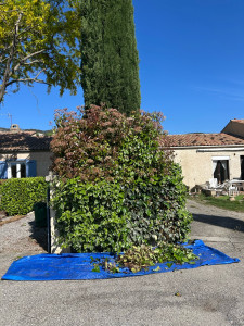Photo de galerie - Taille 