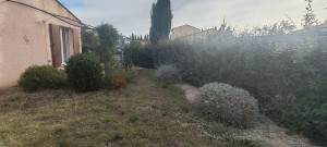 Photo de galerie - Remise en état jardin / AVANT/. 