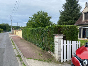 Photo de galerie - Taille de haie 