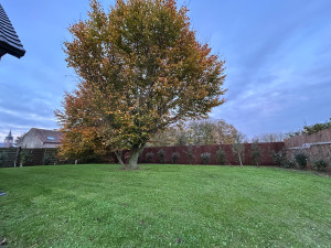 Photo de galerie - Tonte de pelouse en mulching 