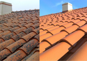 Photo de galerie - Nettoyage de toiture à Aix en Provence 
