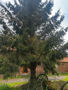 Photo de galerie - Avant 