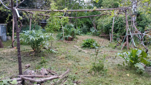 Photo de galerie - Jardinier