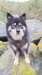 Photo de galerie - Touna
