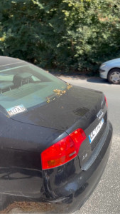 Photo de galerie - Lavage auto