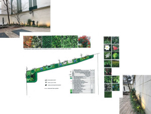 Photo de galerie - Plan et résultat