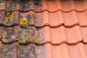 Photo de galerie - Couverture - Toiture